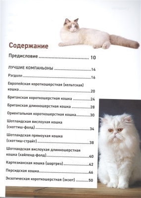 Все породы кошек. Большая иллюстрированная энциклопедия- купить в магазине Кассандра, фото, 9785041130619, 