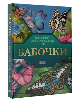 Бабочки. Иллюстрированный гид - купить в магазине Кассандра, фото, 9785171738624, 